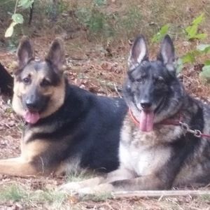 Meet your Posher, Jolie